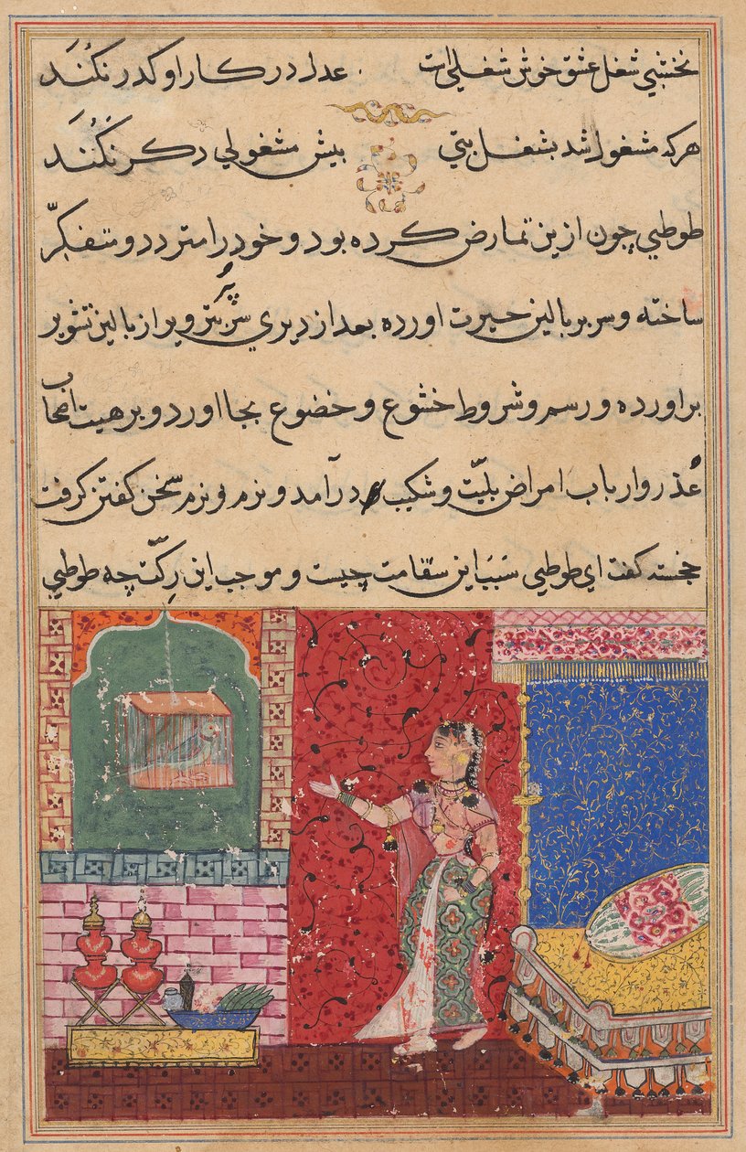 El loro se dirige a Khujasta al comienzo de la Decimoquinta Noche, de un Tuti-nama (Cuentos de un loro) de Unknown artist