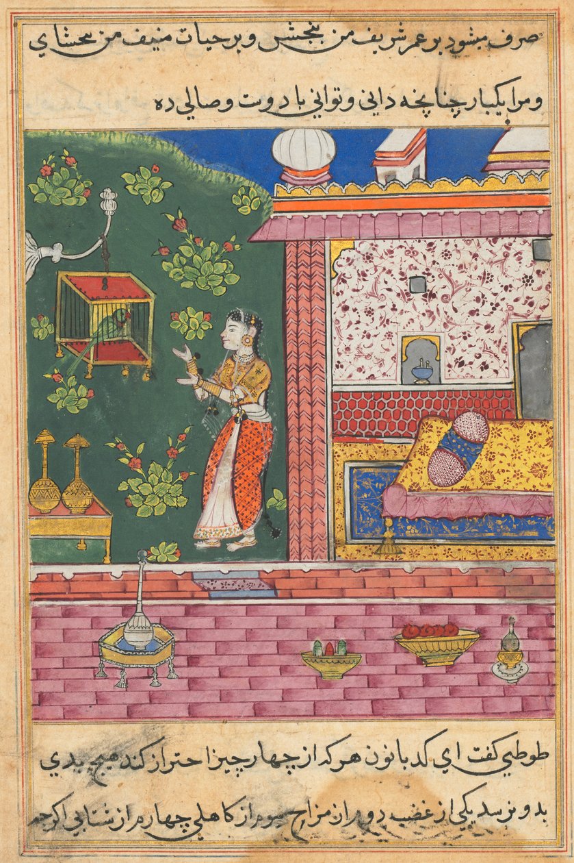 El loro se dirige a Khujasta al comienzo de la trigésima noche, de un Tuti-nama (Cuentos de un Loro) de Unknown artist