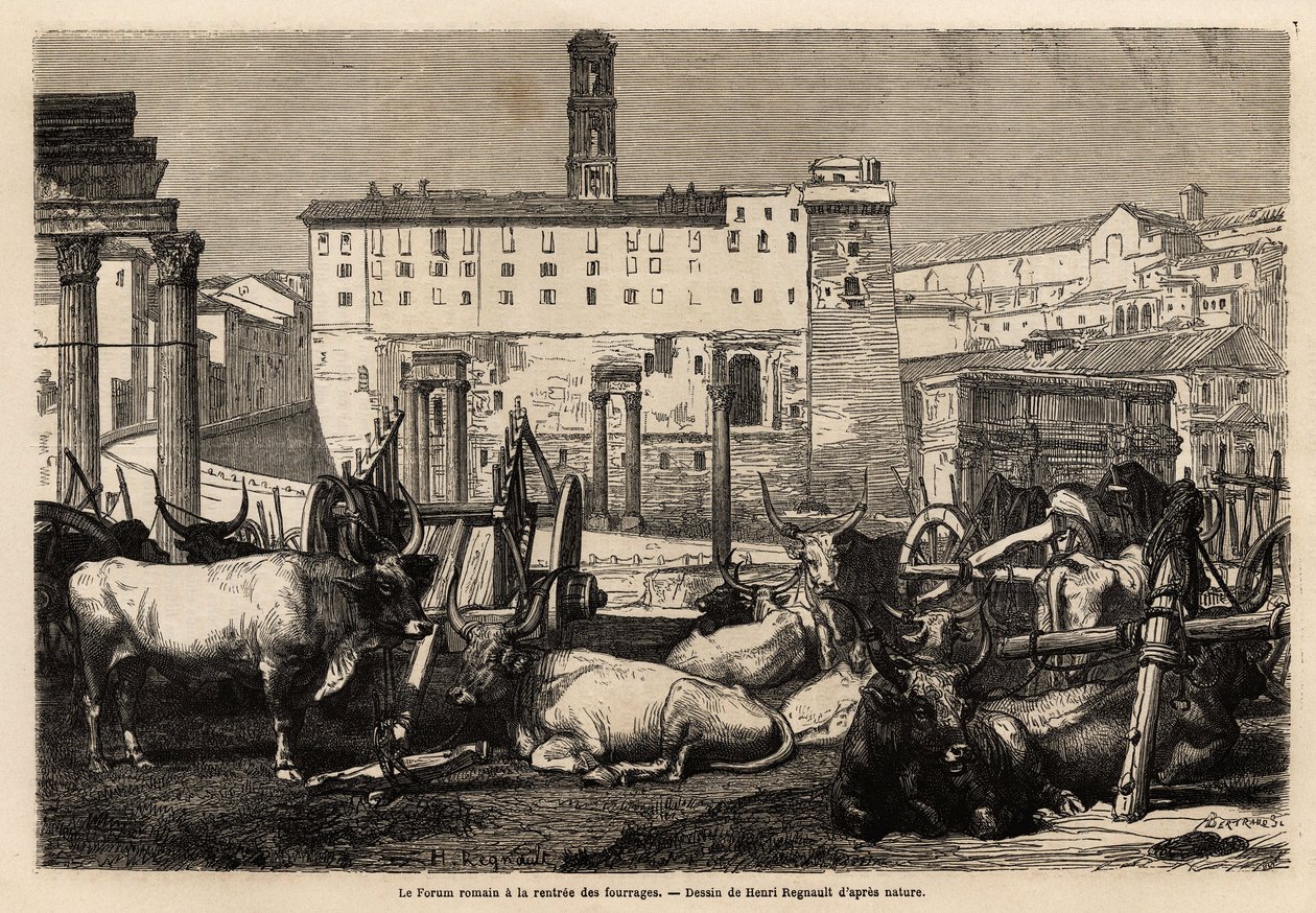 El foro romano tiene la renta de forraje, los bueyes yacen en medio de carros y ruinas antiguas. Grabado para ilustrar el viaje a Roma, por Francis Wey, en 1864-1868, publicado en “Le tour du monde” 1869, editado por Edouard Charton, edición Hachette de Unknown artist