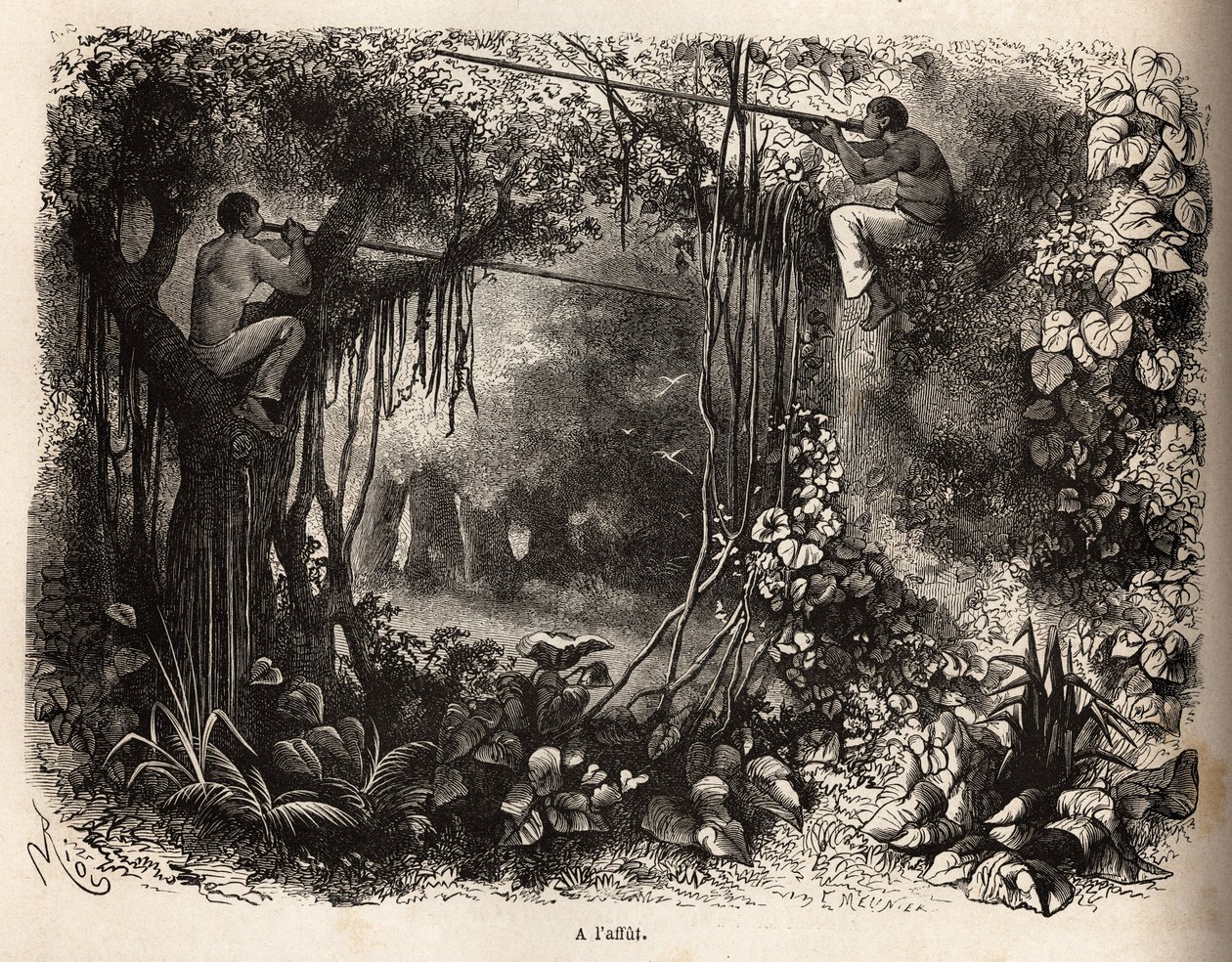 Los indios Yahua de Perú están al acecho de presas, encaramados en las ramas y armados con cerbatanas con flechas envenenadas. Grabado para ilustrar el viaje del Océano Pacífico al Océano Atlántico, a través de América del Sur, en 1848-1860 por Paul M de Unknown artist