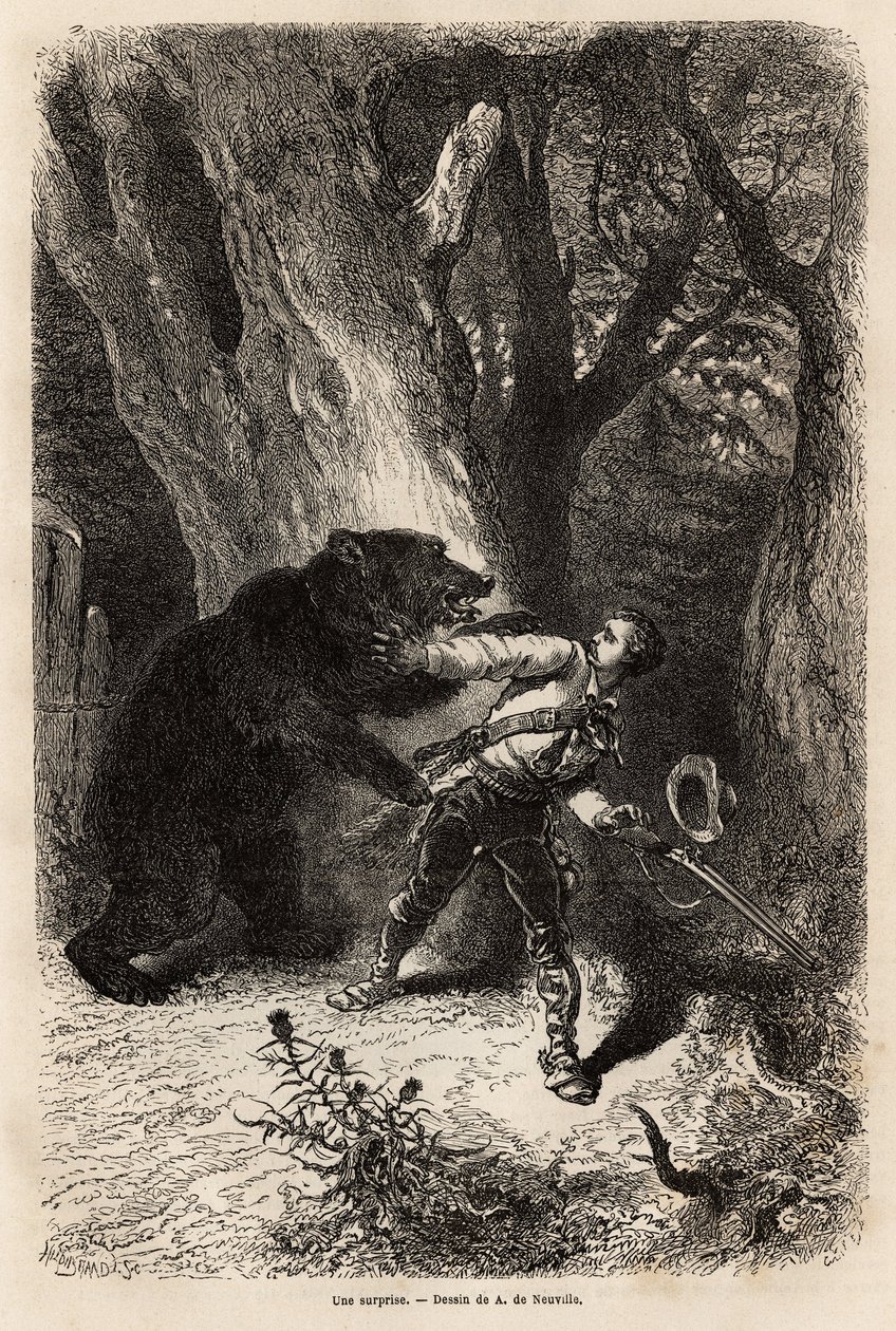 El autor, durante una excursión alrededor de Jacksonville, es sorprendido en el bosque por un oso doméstico y encadenado. Grabado para ilustrar la historia cuatro meses en Florida, por Achille Pousselgue en 1851-1852, publicado en “Le tour du monde” 1870-1 de Unknown artist