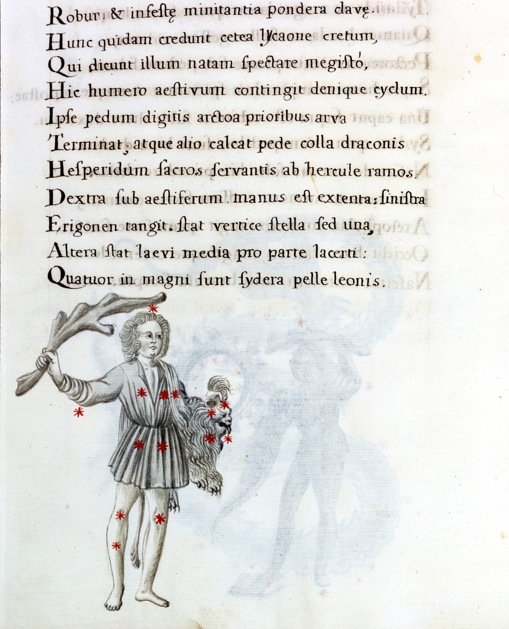La constelación representada es la de Boyero (o Bootes), que sostiene el cabello de Berenice con la mano izquierda. Página de un manuscrito del siglo XVIII basado en el manuscrito original “Astronomica” de Biasino da Parma (Blaise de Parma) (1425-1457) de Unknown artist