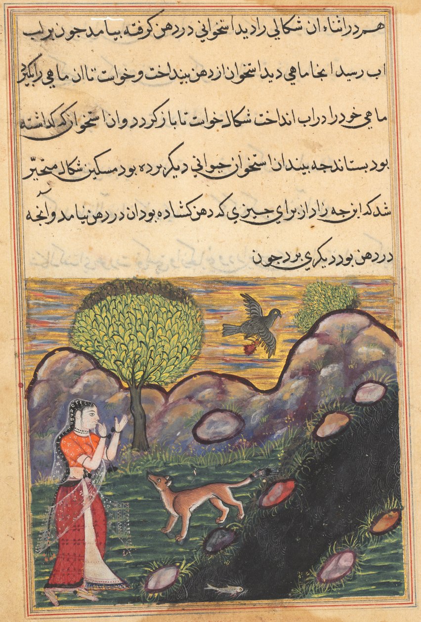 La nuera del rey de Benarés ve al chacal privado de su comida por un pájaro, mientras intenta sin éxito atrapar un pez, de un Tuti-nama (Cuentos de un Loro): Decimosexta Noche de Unknown artist