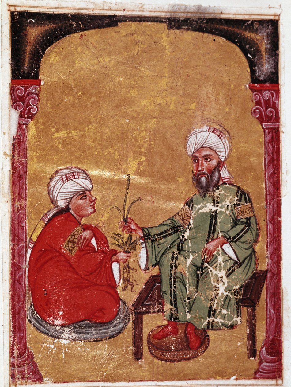 El médico y botánico Pedanio Dioscórides (40-90 d.C.) sentado con uno de sus estudiantes. Miniatura de su tratado “De materia medica” (ms Ahmed III, 2147, folio 217a) 1229 Biblioteca del Museo Topkapi Sarayi, Estambul de Unknown artist