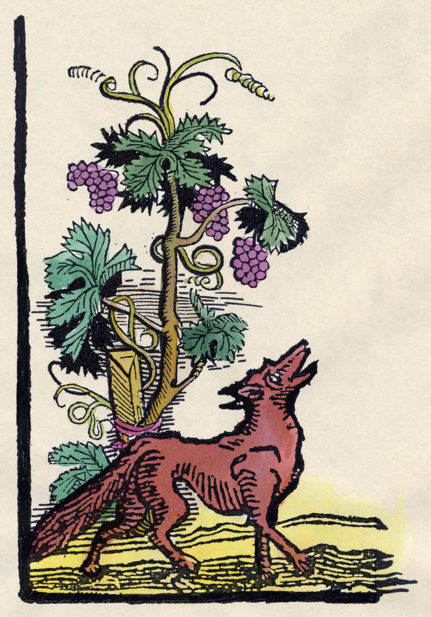 El zorro y las uvas. Fábula de Esopo (grabado del siglo XVIII) de Unknown artist
