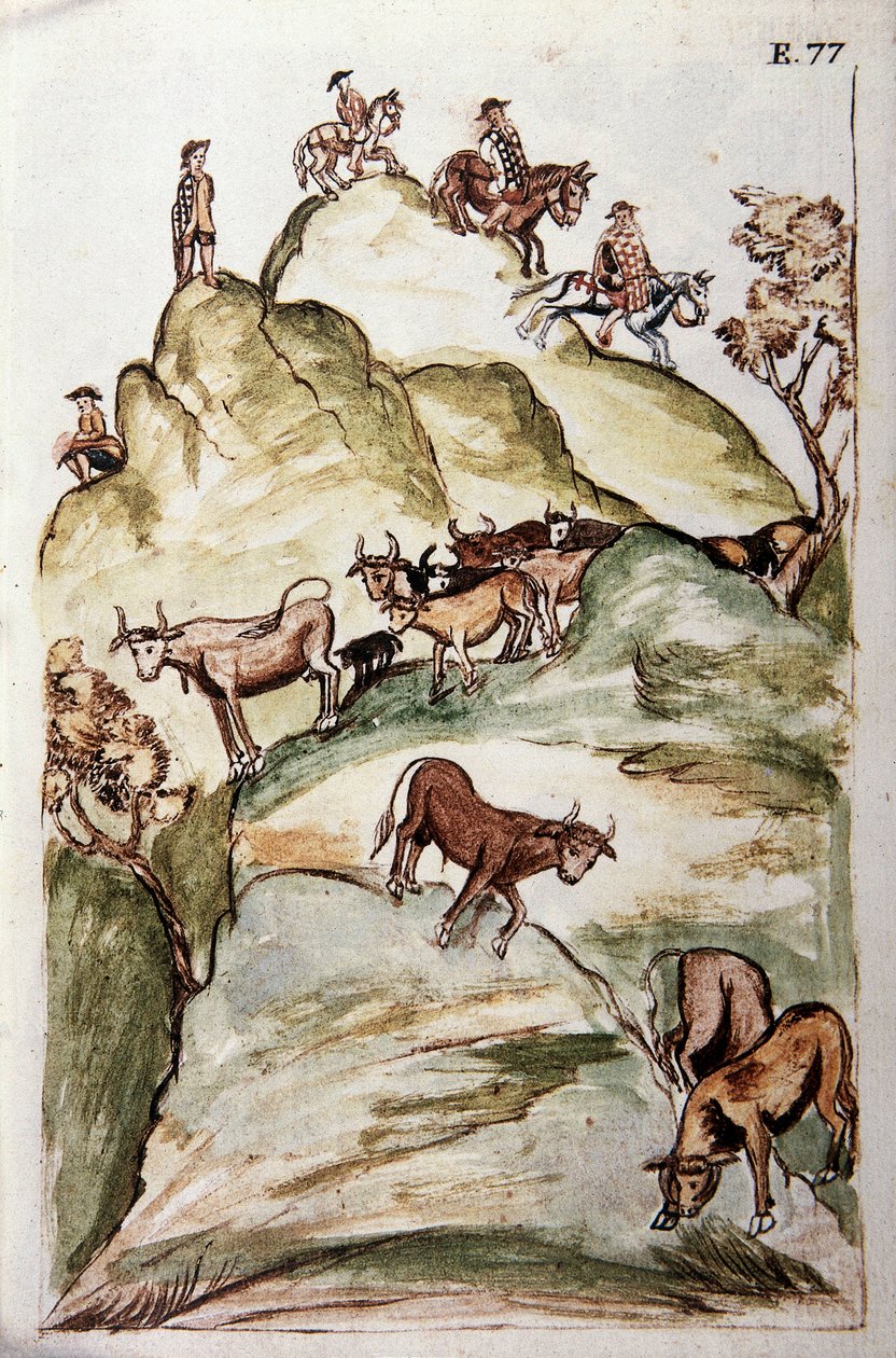 Los guardianes de vacas rodeando un grupo de vacas en las montañas para atraparlas, del libro "Trujillo del Perú" o "Códice Martínez Compañón", por Baltazar Martínez Compañón y Bujanda, obispo de Trujillo (1782-1785) de Unknown artist