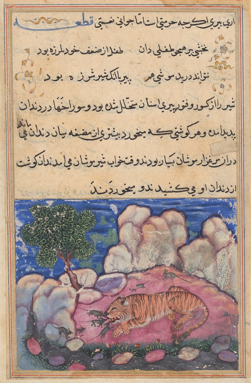 El león perturbado por los ratones que comen la comida atrapada en sus dientes envejecidos, de un Tuti-nama (Cuentos de un loro): Decimoquinta Noche de Unknown artist