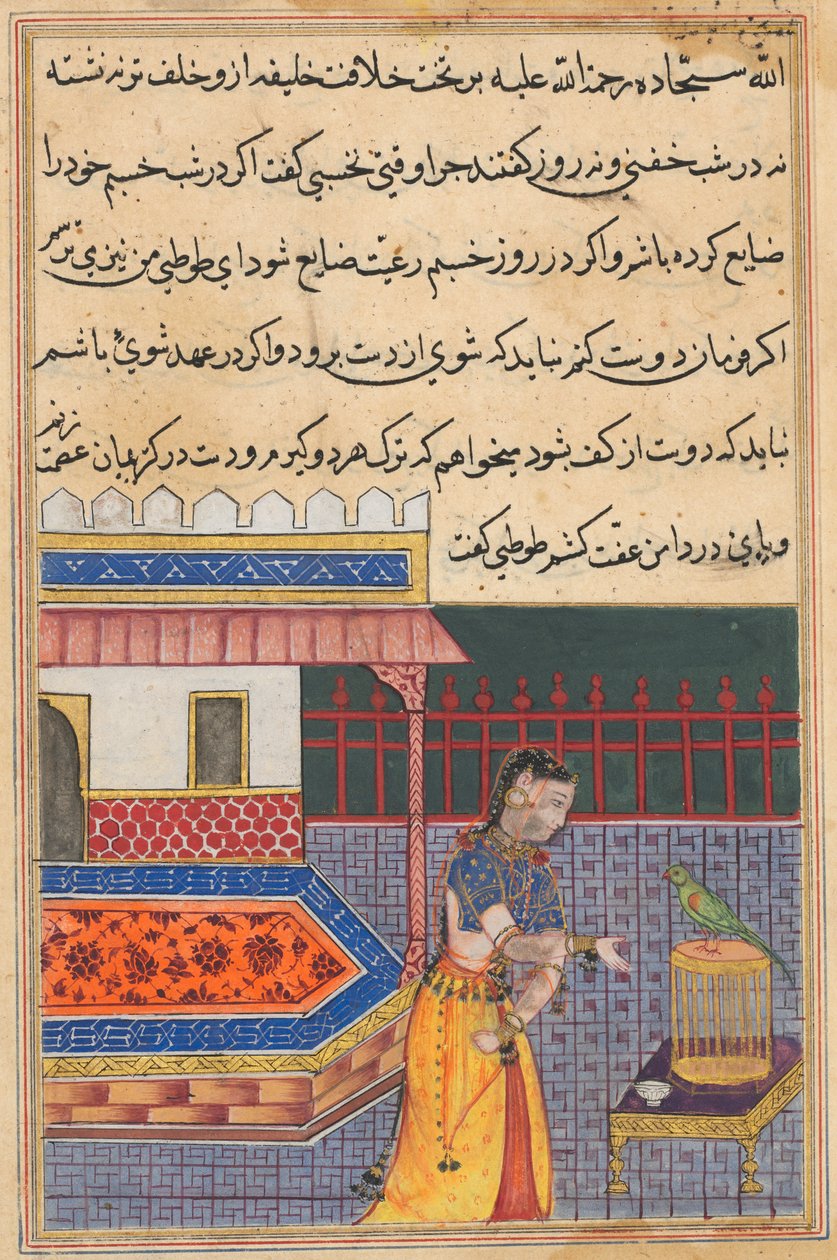 El loro se dirige a Khujasta al comienzo de la cuadragésima primera noche, de un Tuti-nama (Cuentos de un loro): Cuadragésima primera noche de Unknown artist