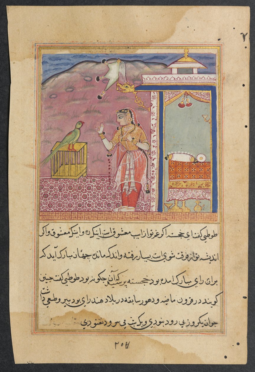 El loro se dirige a Khujasta al comienzo de la noche cuarenta y cuatro, de un Tuti-nama (Cuentos de un Loro) de Unknown artist
