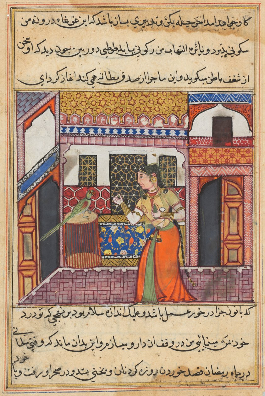 El loro se dirige a Khujasta al comienzo de la noche cuarenta y tres, de un Tuti-nama (Cuentos de un Loro) de Unknown artist