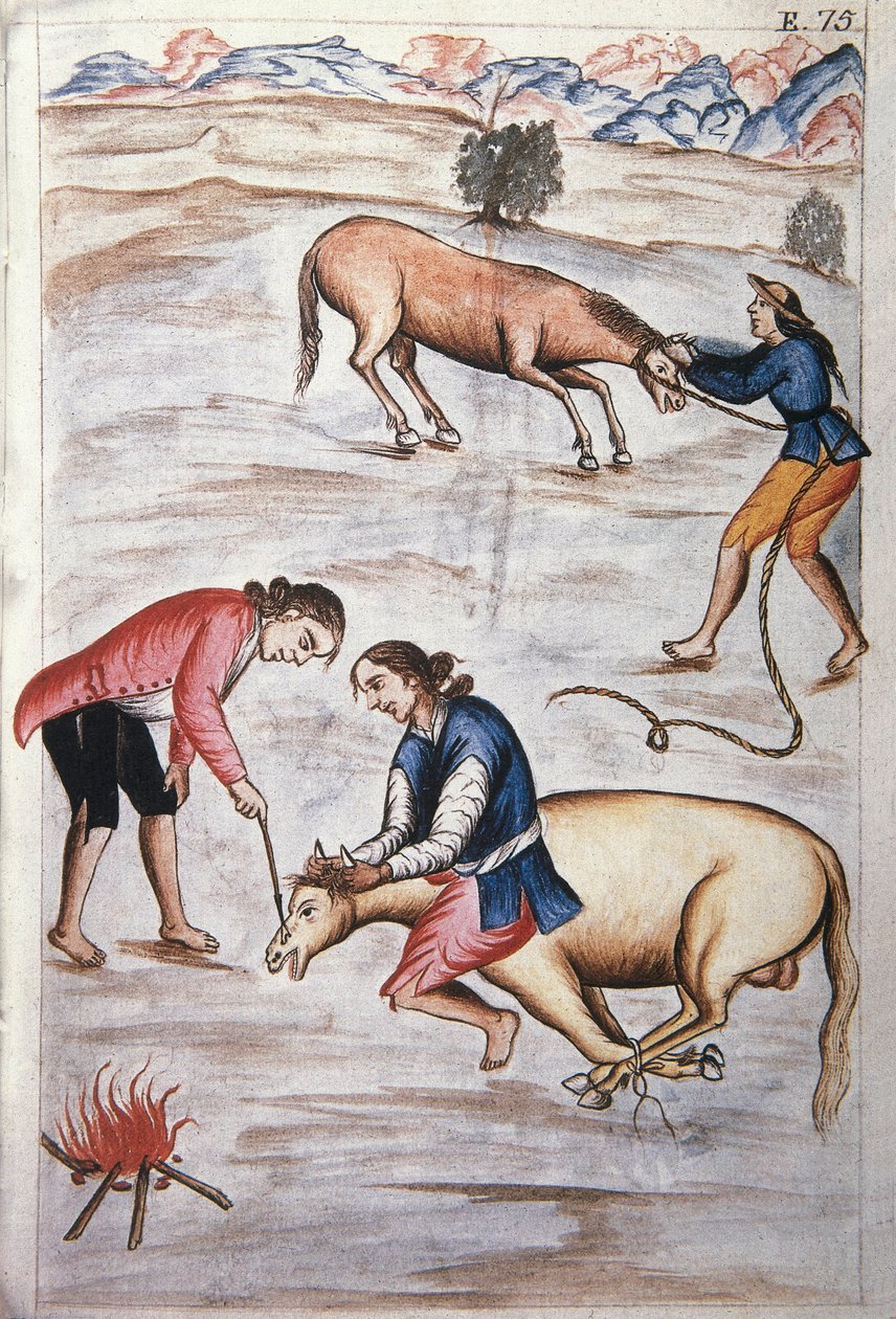 El hierro rojo marcando una yegua, del libro "Trujillo del Perú" o "Códice Martínez Compañón", por Baltazar Martínez Compañón y Bujanda, obispo de Trujillo (1782-1785) de Unknown artist