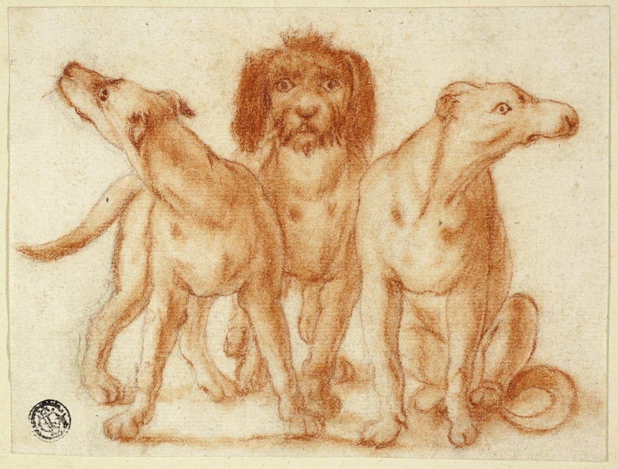 Tres perros de Unknown artist