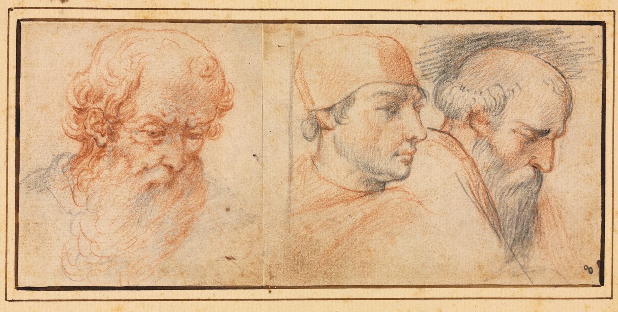 Estudios de tres cabezas de Unknown artist