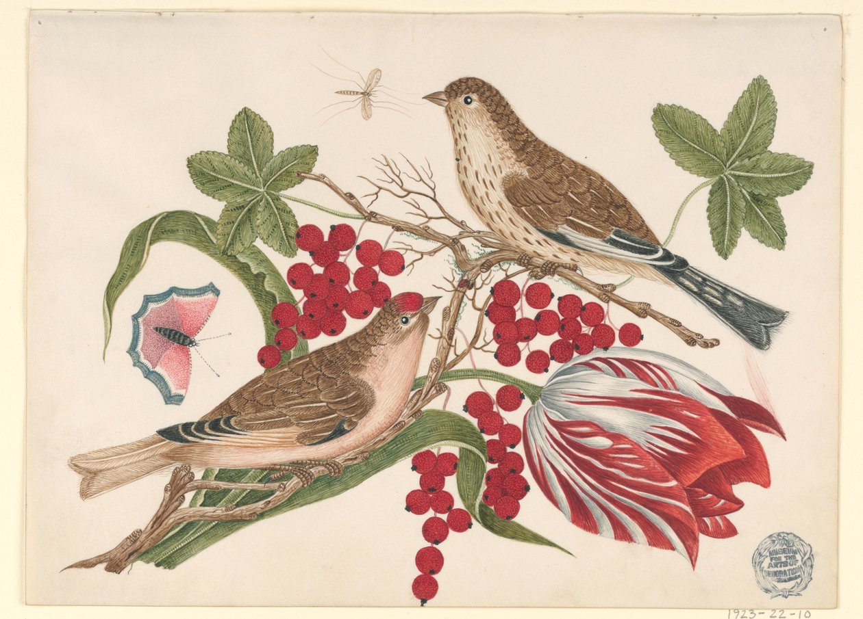 Dos Pájaros Marrones en Rama con Tulipán, Bayas e Insectos de Unknown artist