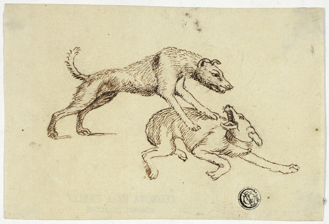 Dos perros peleándose de Unknown artist