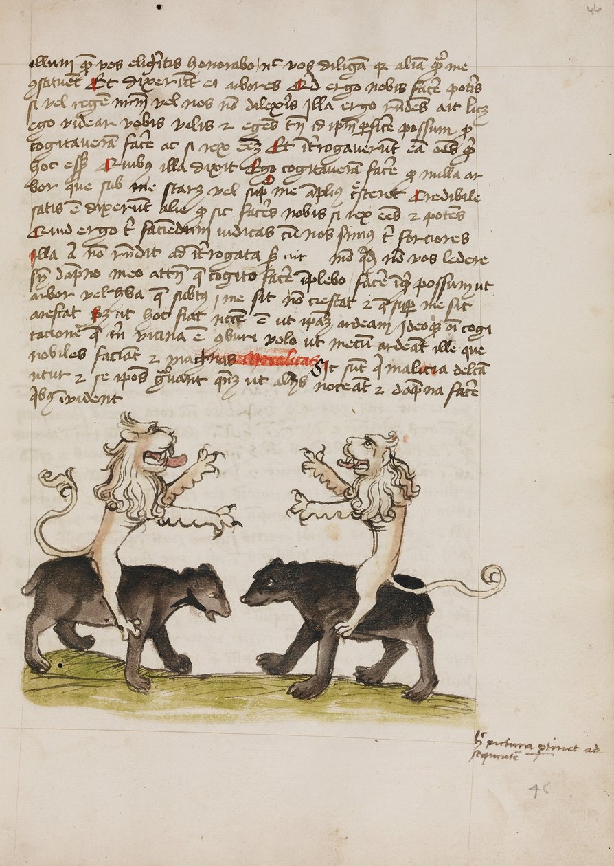 Dos leones sentados a lomos de dos osos de Unknown artist