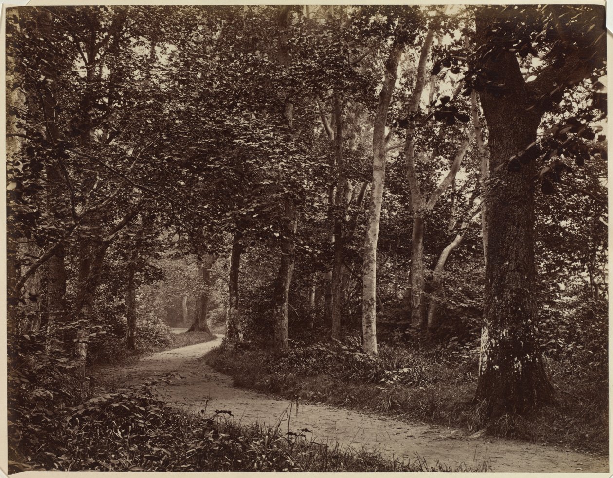 Untitled (Landscape) de Unknown artist