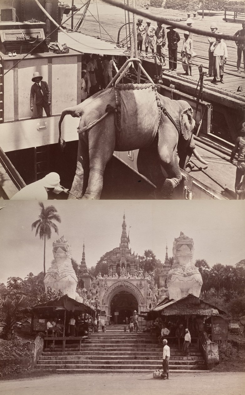 Sin título: (elefante cargado en un barco, recto); (escalones y edificio, verso) de Unknown artist