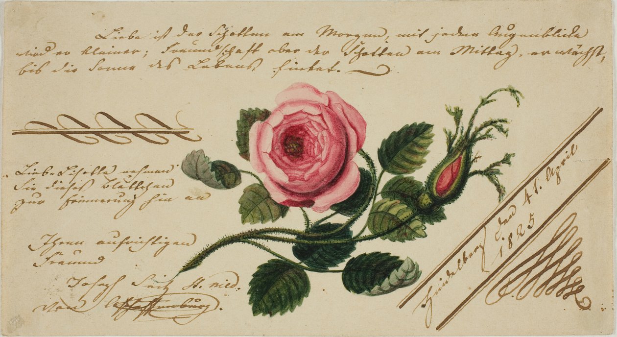 Valentín Sin Título (Flor Rosa) de Unknown artist