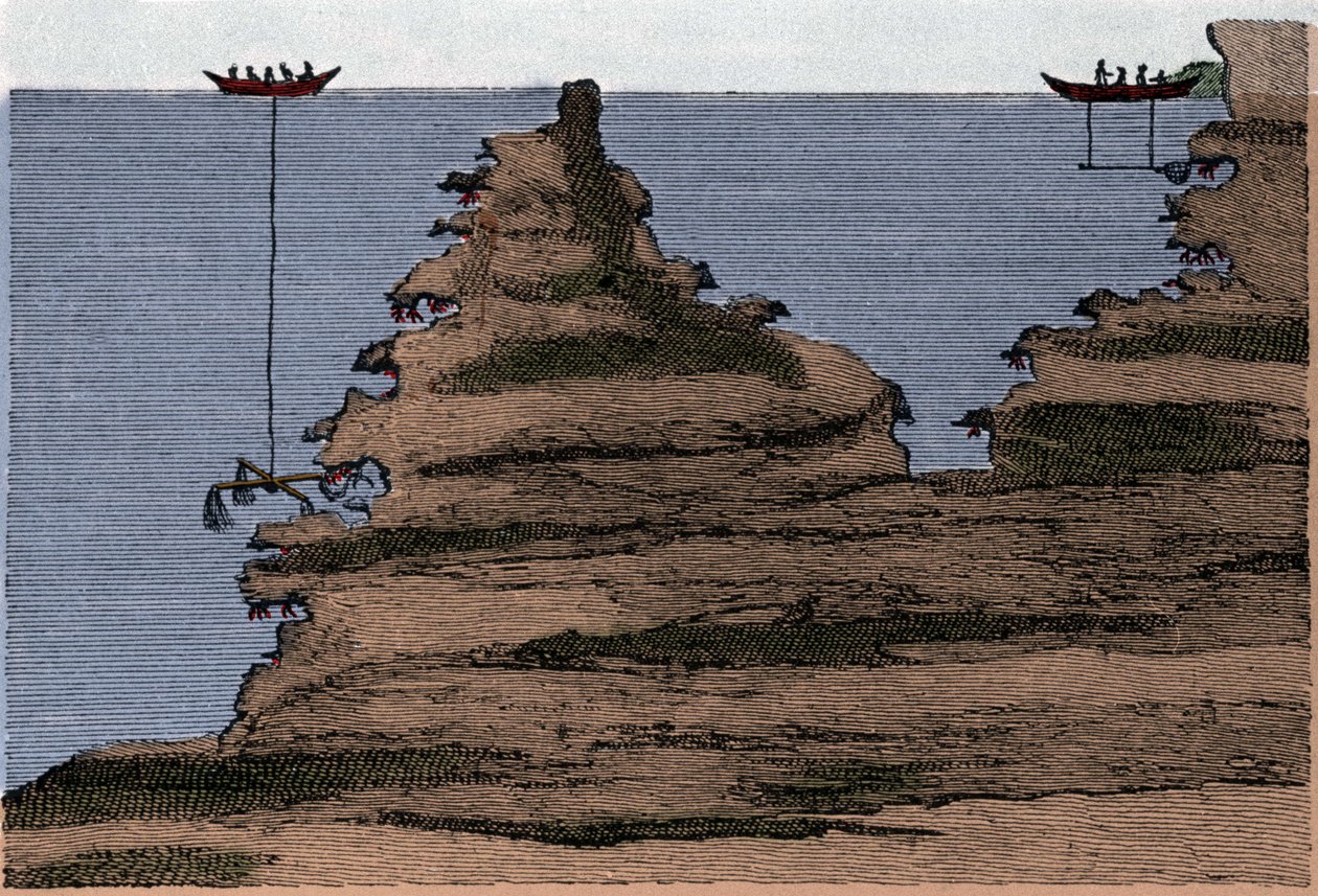 Uso de dos tipos de redes para la pesca de coral. A la derecha el salabre, a la izquierda la artesanía. Grabado de “Historia Física del Mar” por el conde Marsilli, Ámsterdam de Unknown artist