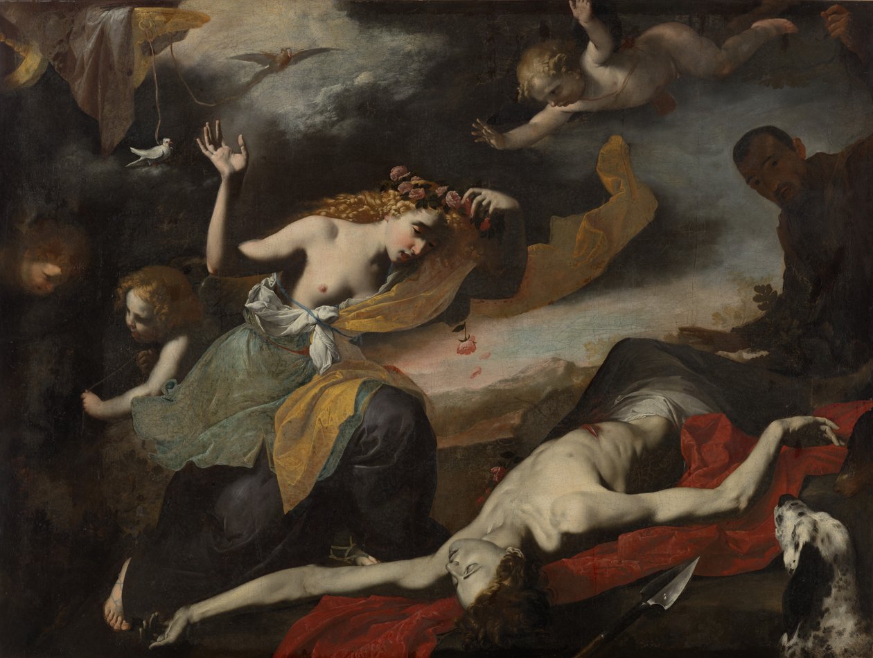 Venus descubriendo al Adonis muerto de Unknown artist