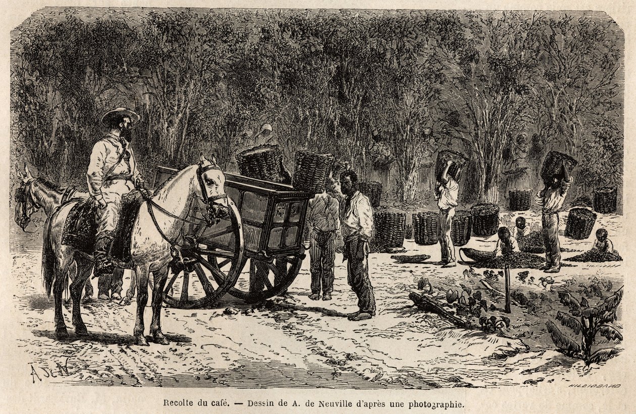 Cuando se recoge el café, los hombres recogen y transportan las pesadas cestas llenas de granos de café, mientras los niños limpian la pulpa que rodea los granos de café. Grabado para ilustrar el viaje a Brasil, historia por M. y Mme Agassiz, en 1865-1866 de Unknown artist