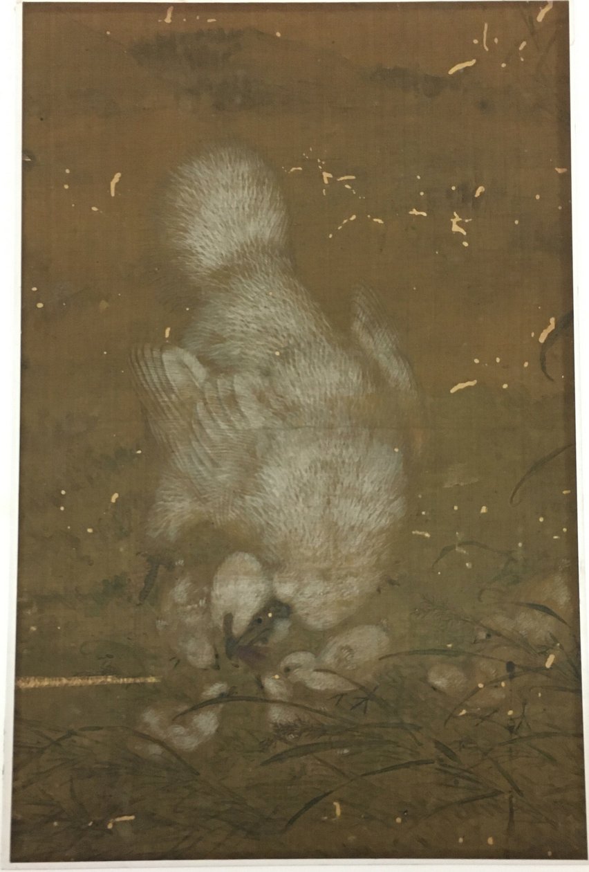 Gallina blanca y pollitos de Unknown artist