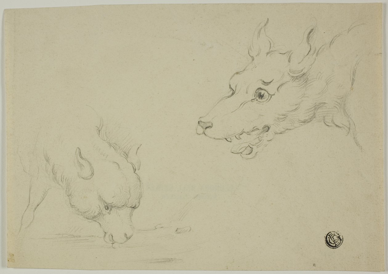 Lobo y cordero de Unknown artist