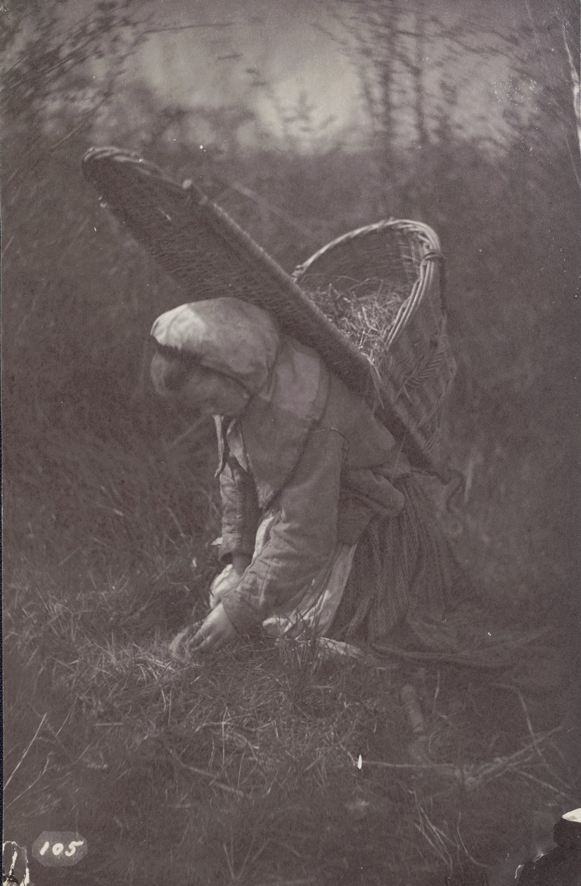 [Mujer con cesta a la espalda] de Unknown artist