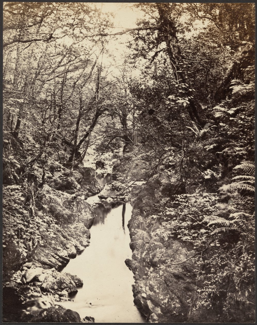 [Paisaje boscoso con arroyo] de Unknown artist