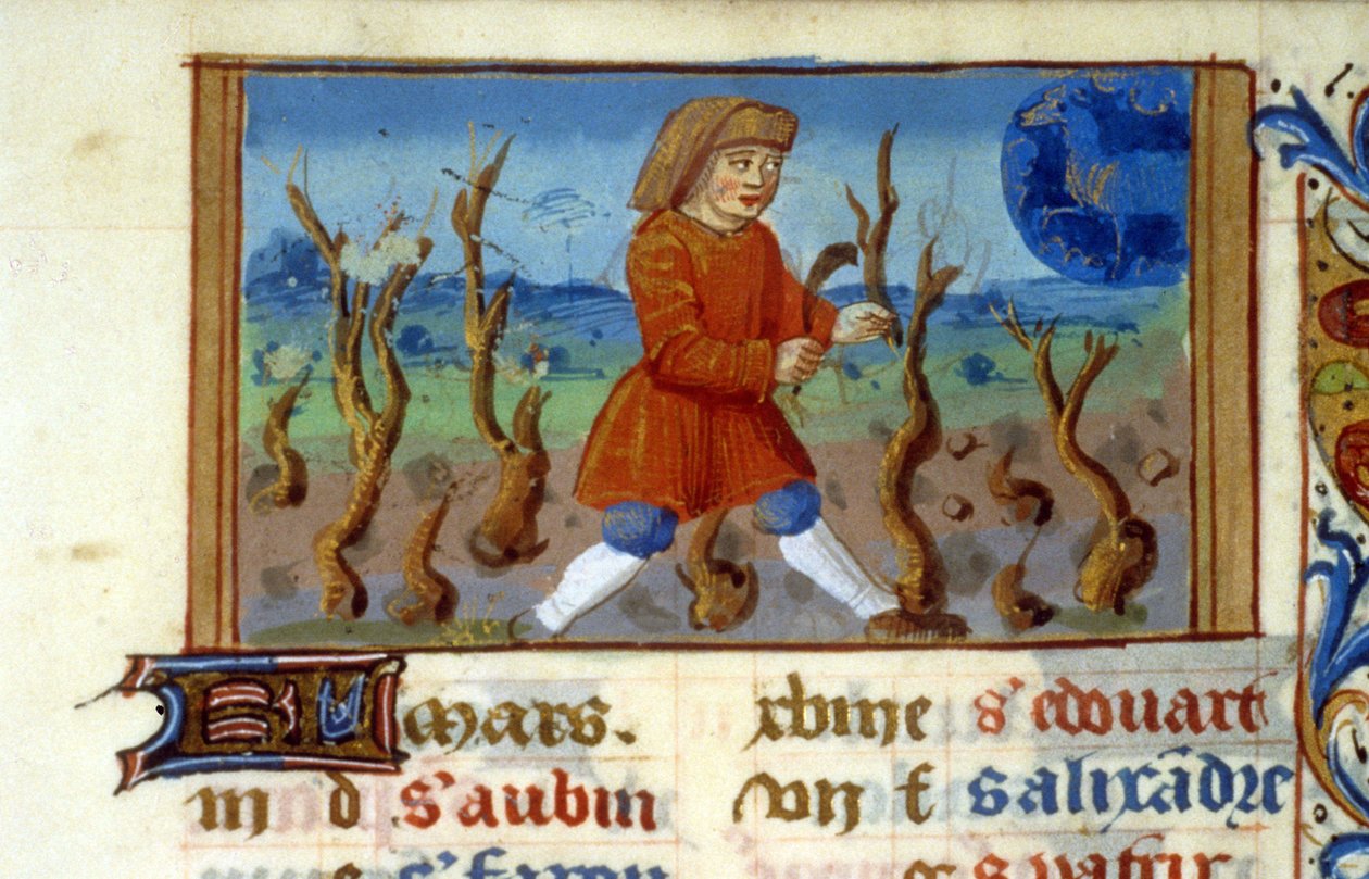 Zodiaco Aries y tamaño del árbol - Miniatura de la Edad Media (ref. 137, 047r) - Solicitar permiso a la Biblioteca Municipal de Toulouse (tel: 05 62 27 66 66) de Unknown artist
