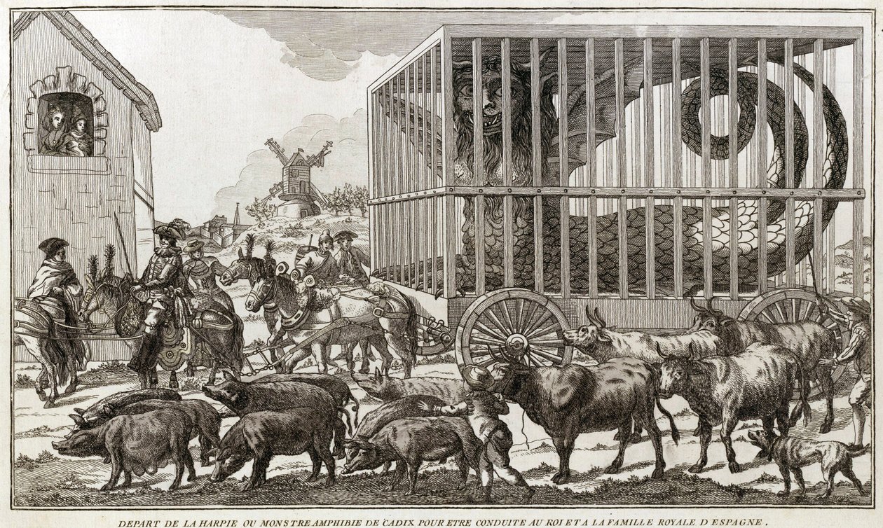 Zoomorfismo - Caricatura contra María Antonieta - Partida del Harpía o monstruo anfibio de Cádiz para ser llevado al rey y la familia real de España: Este animal fue capturado en las orillas del lago Fagua - 1784 de Unknown artist