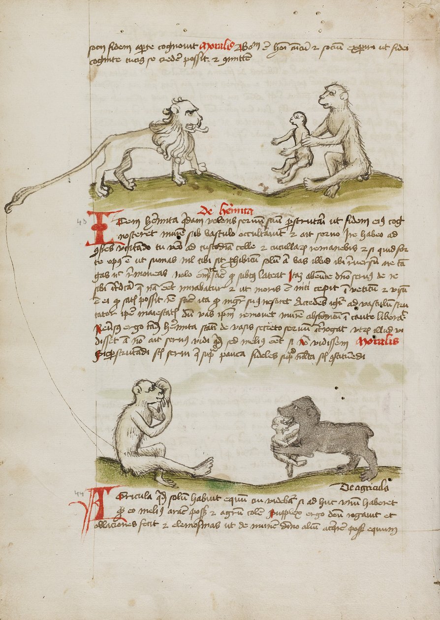 Un león con un mono y su cría; Un mono; Un oso comiéndose a un mono joven de Unknown artist/maker