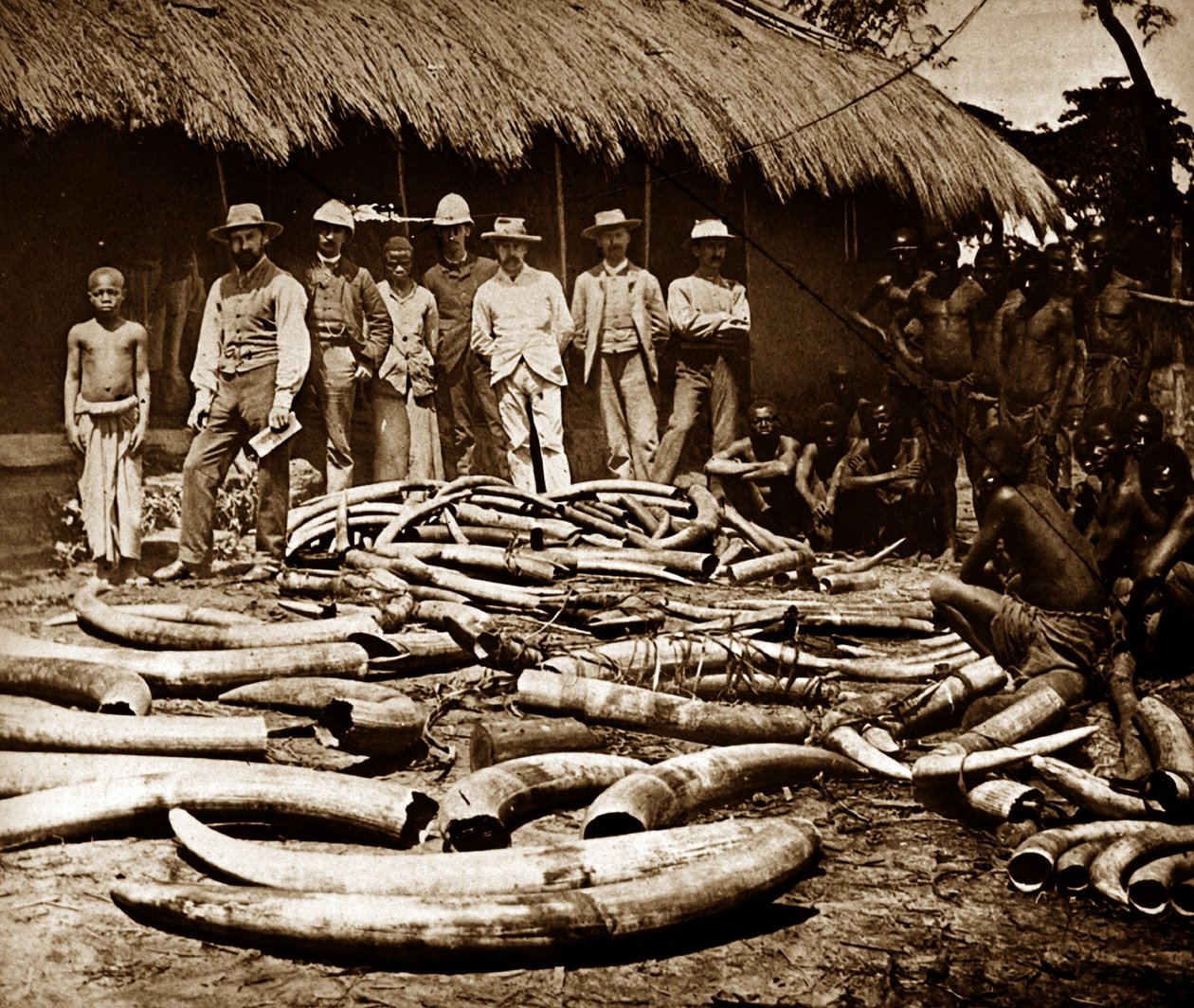 Caza colonial belga de marfil de Unknown photographer