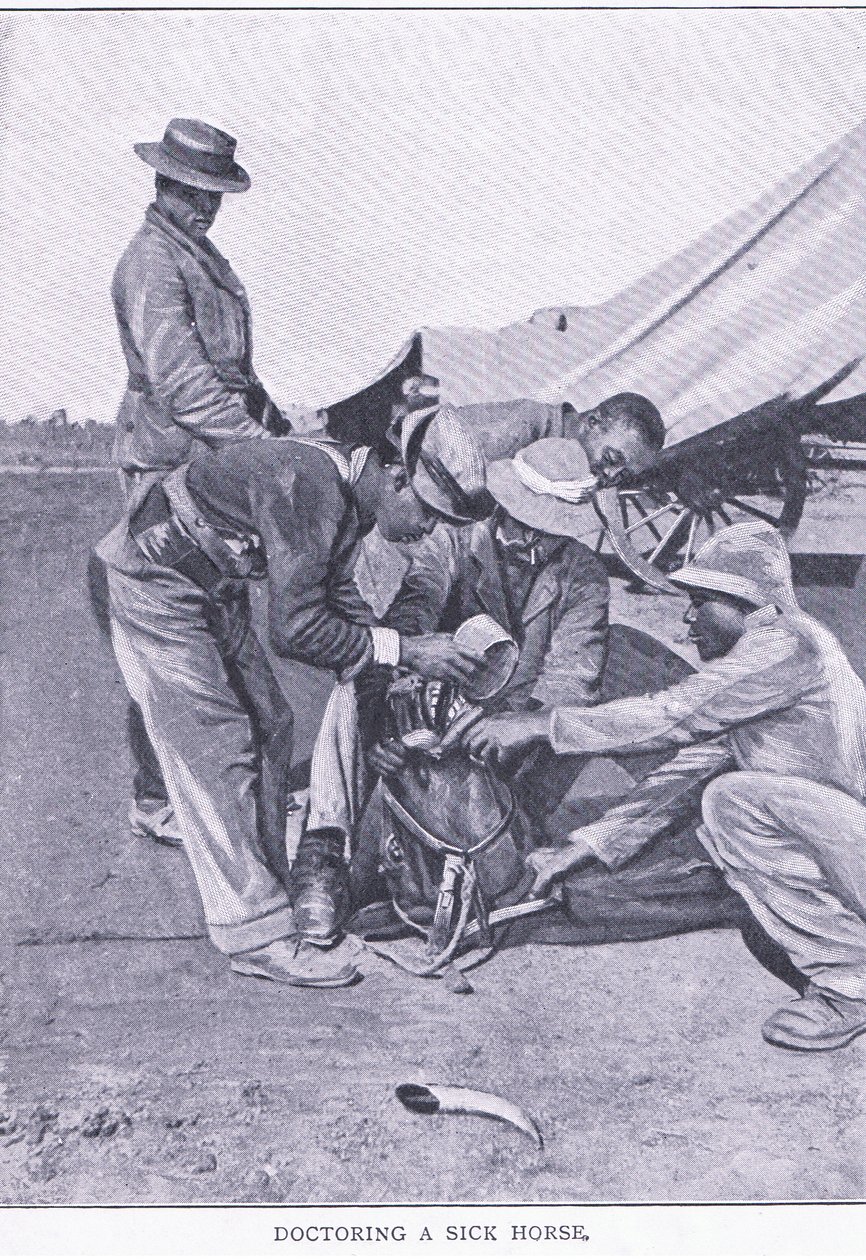 Curando un caballo enfermo, de After Pretoria: The Guerilla War publicado por Harmsworth Bros Limited de Unknown photographer