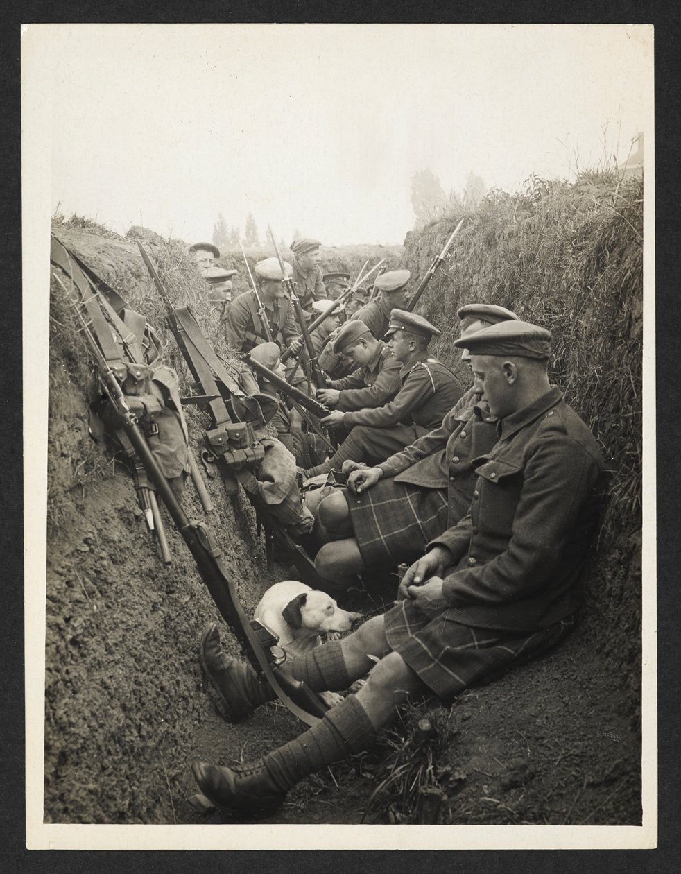 Highland Territorials en una trinchera [La Gorgue, Francia]. 5 de agosto de 1915. de Unknown photographer