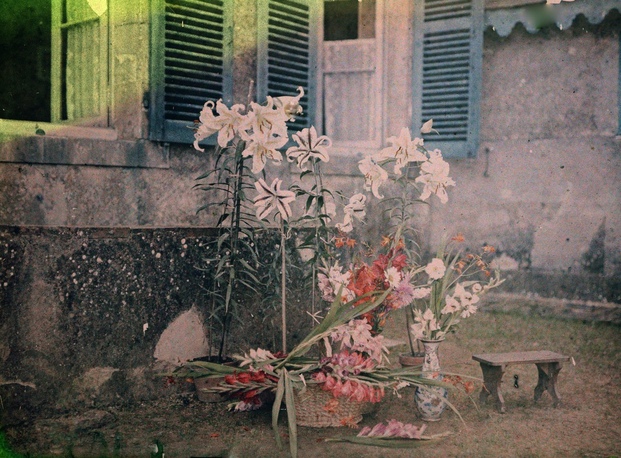 Historia de la fotografía: Composición floral de Unknown photographer