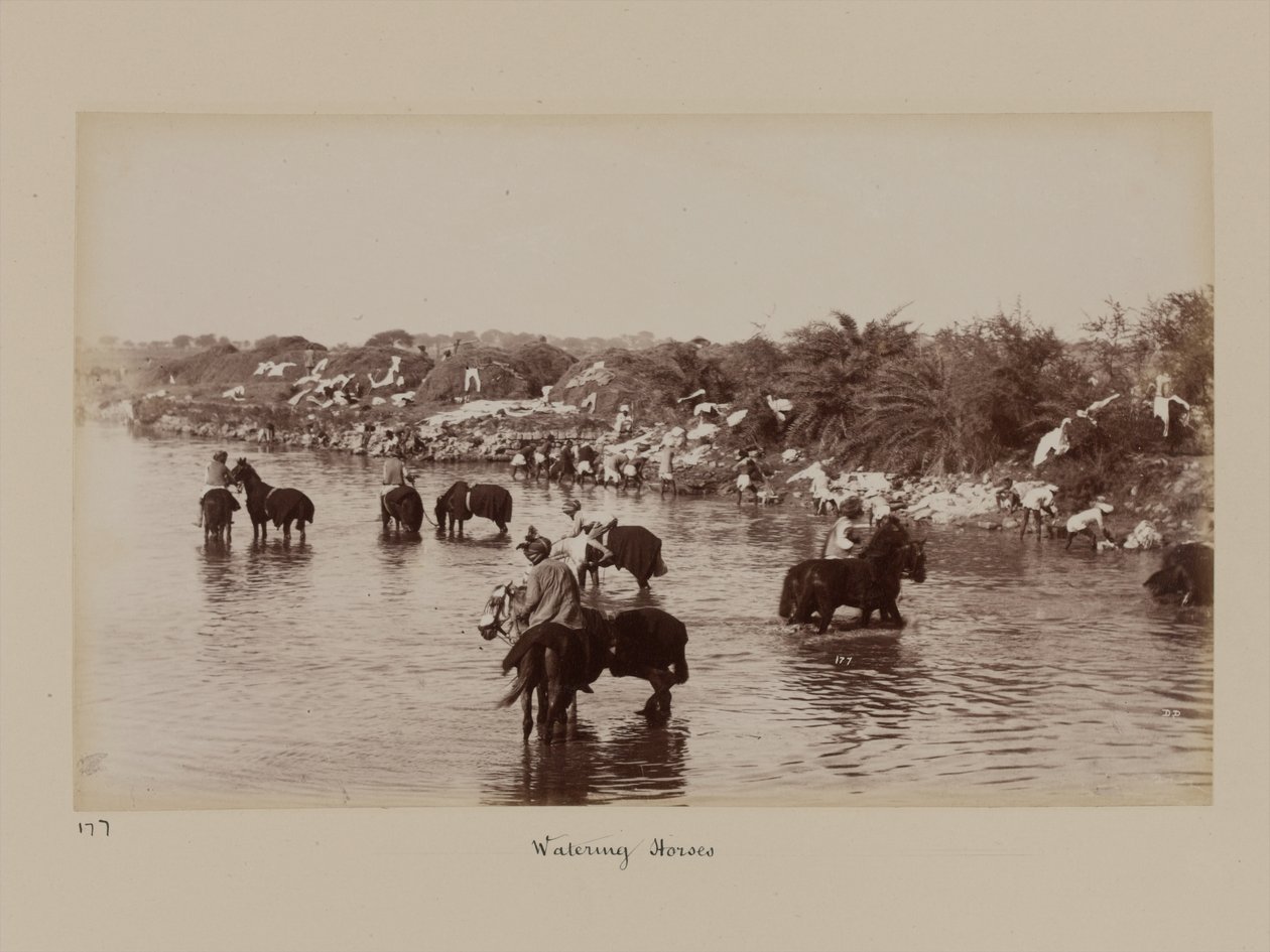 Jinetes indios dando de beber a sus caballos durante el Campamento de Ejercicio de Delhi de Unknown photographer