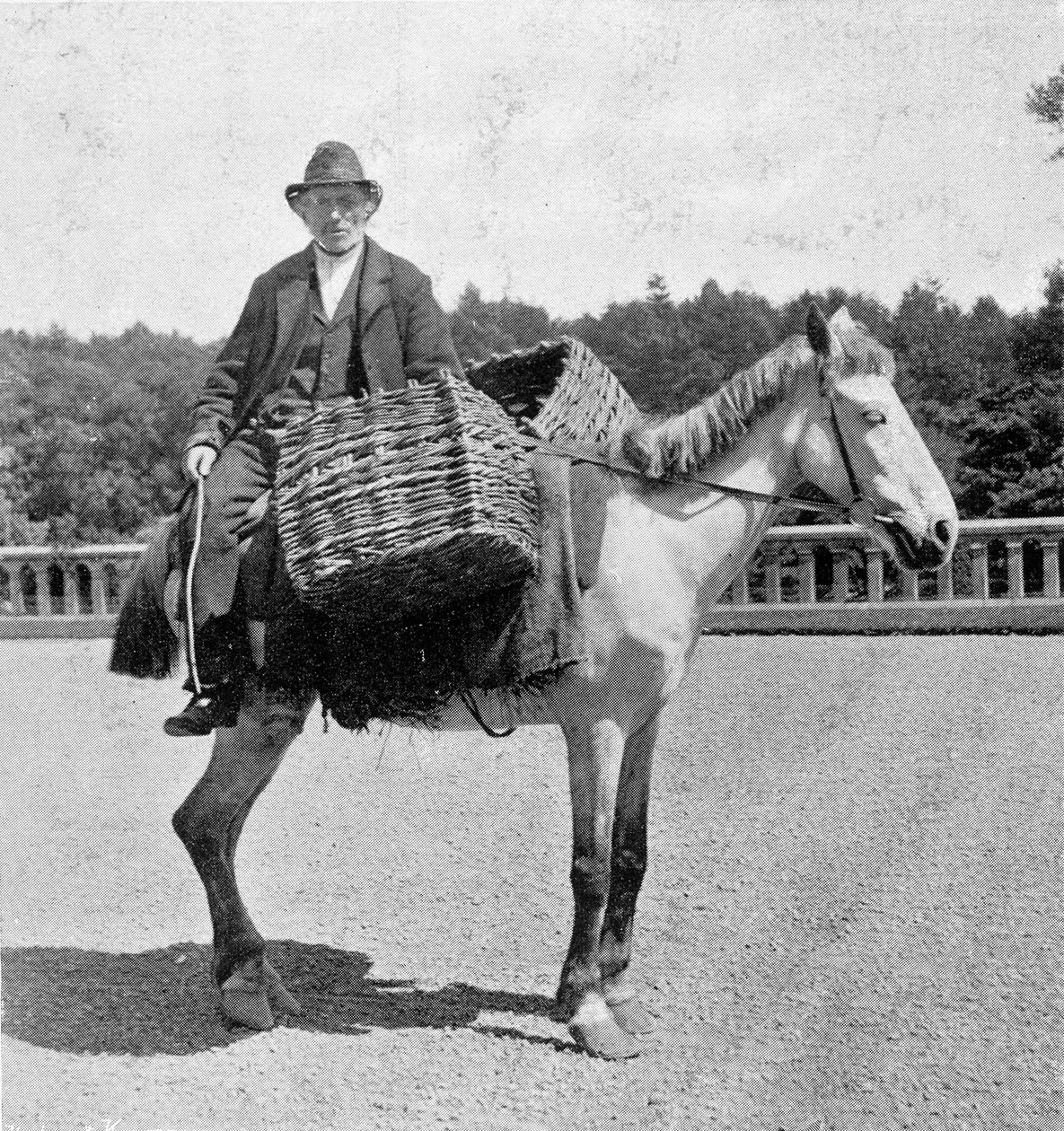 Hombre irlandés en su caballo (siglo XIX) de Unknown photographer