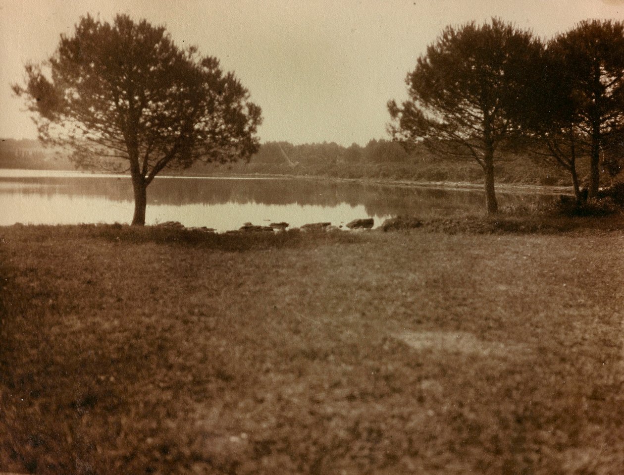Paisaje en las Islas Brijuni de Unknown photographer