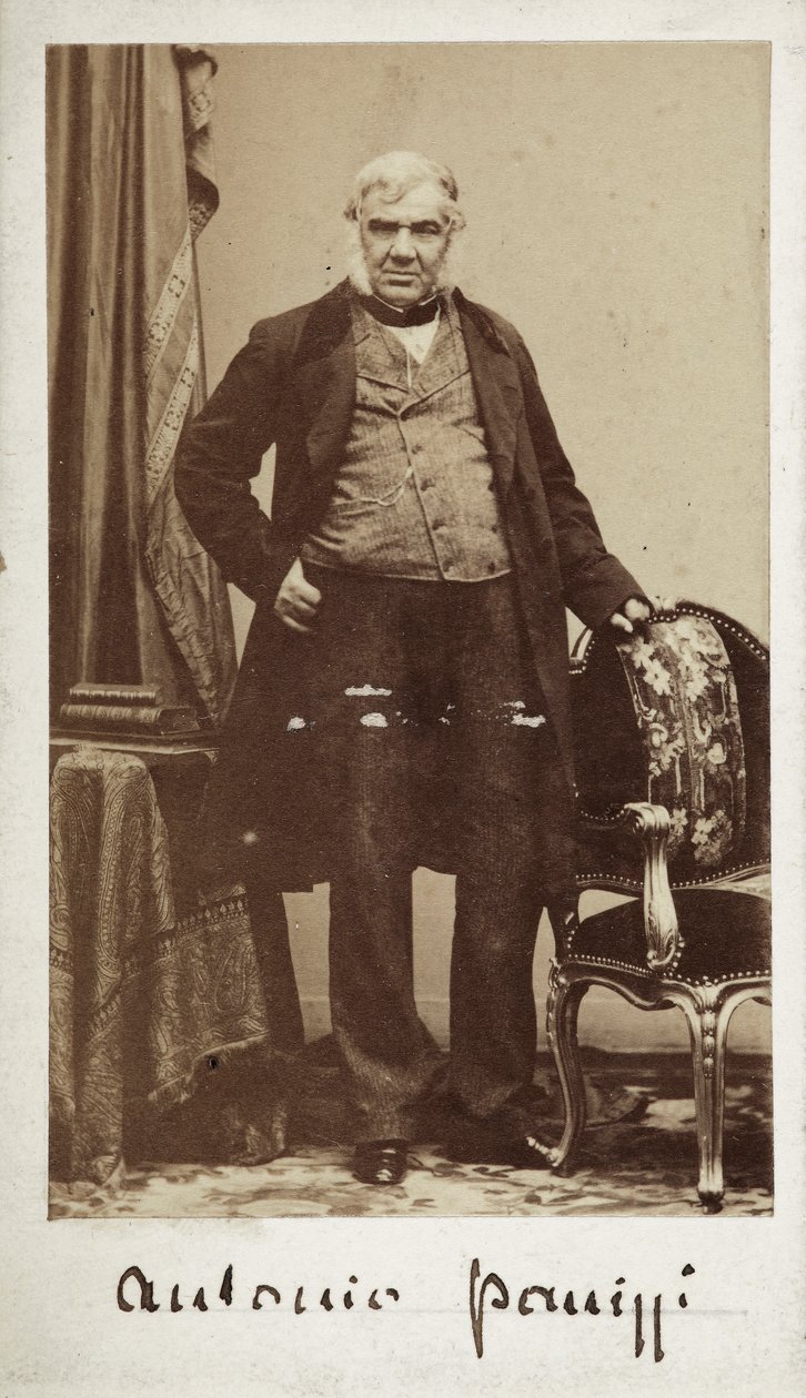 Retrato del senador Antonio Panizzi (1797-1879) Director de la Biblioteca del Museo Británico de Unknown photographer