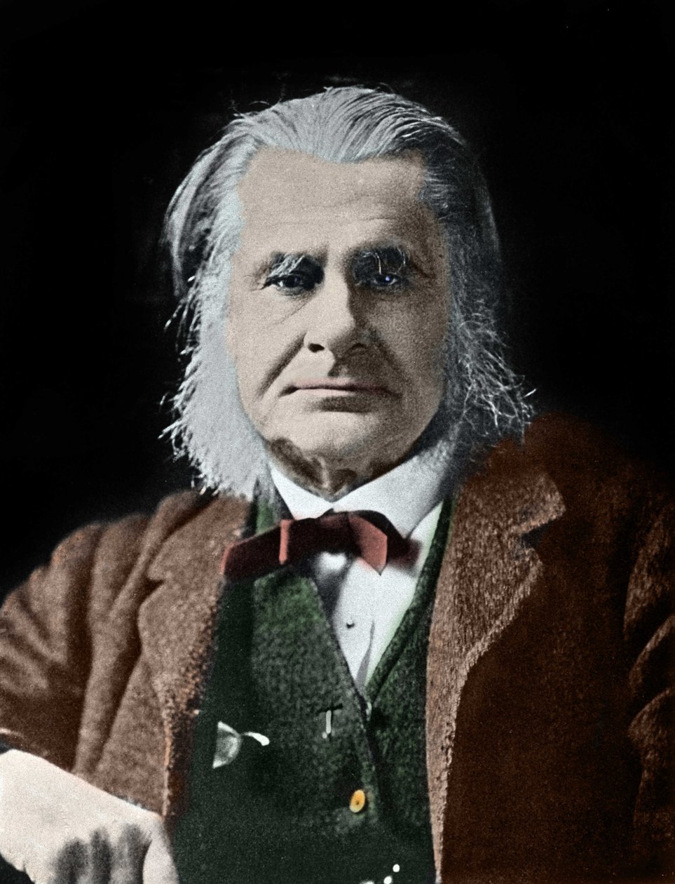 Retrato de Thomas Henry Huxley. Biólogo británico (1825-1895) de Unknown photographer