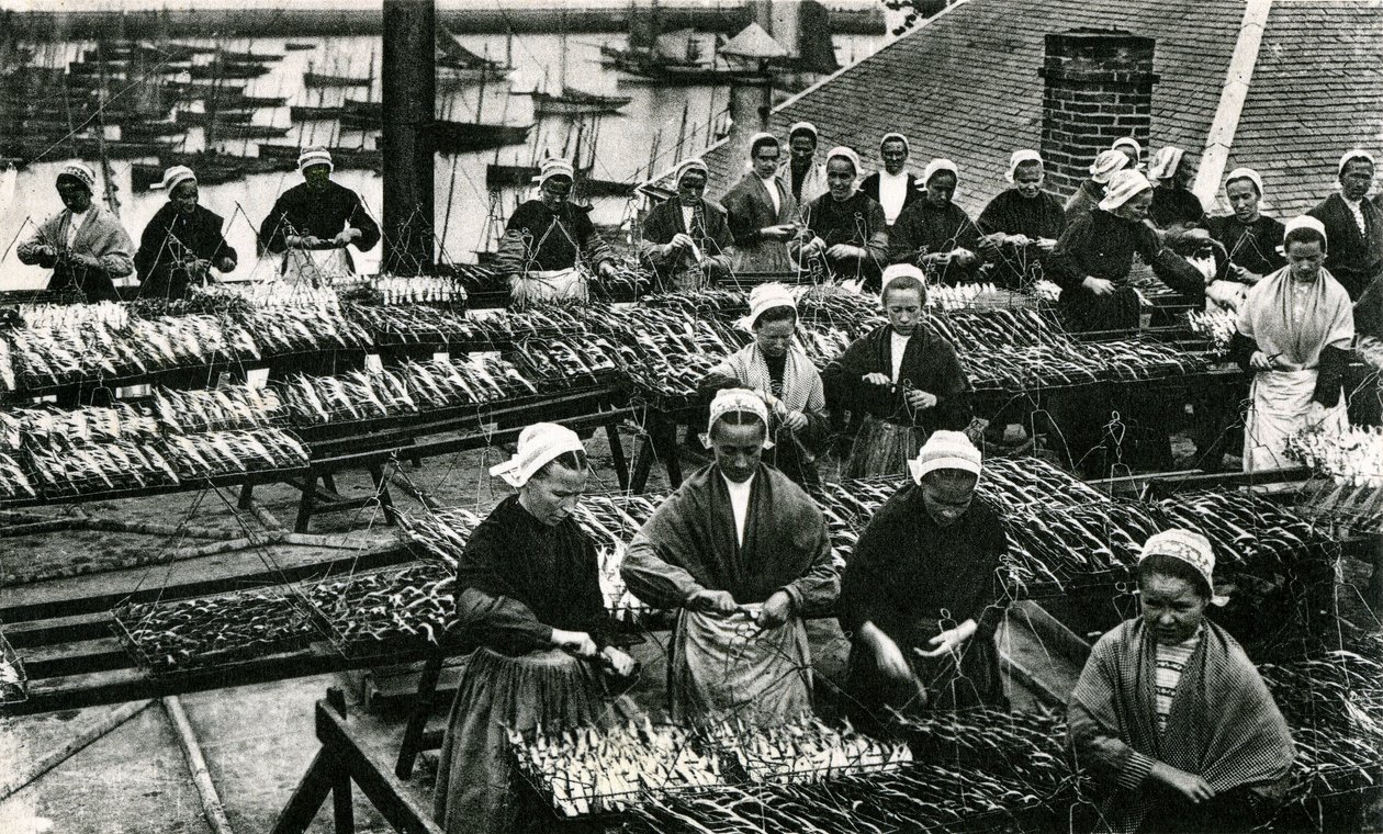 Industria sardinera, Finisterre, Bretaña (foto b/n) de Unknown photographer