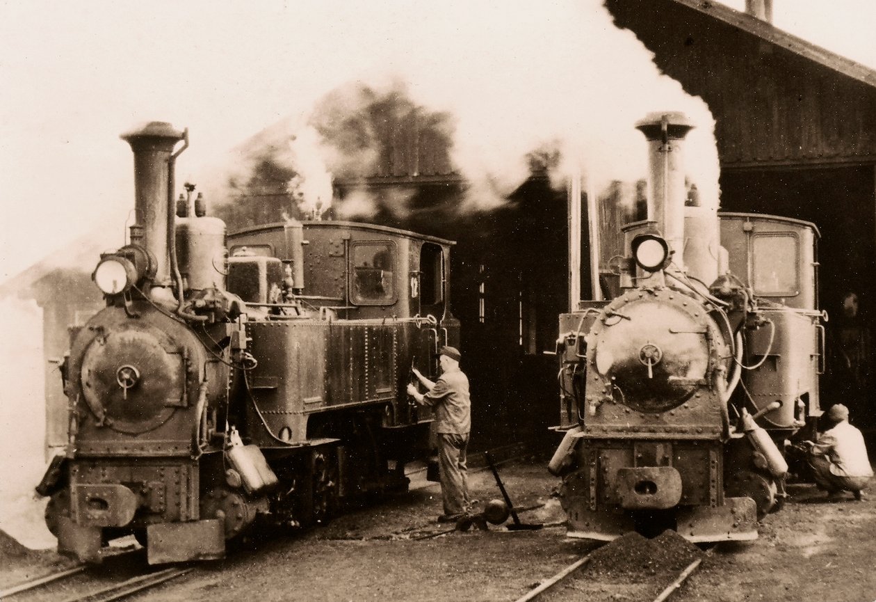 Dos locomotoras de vapor en mantenimiento por dos trabajadores. de Unknown photographer