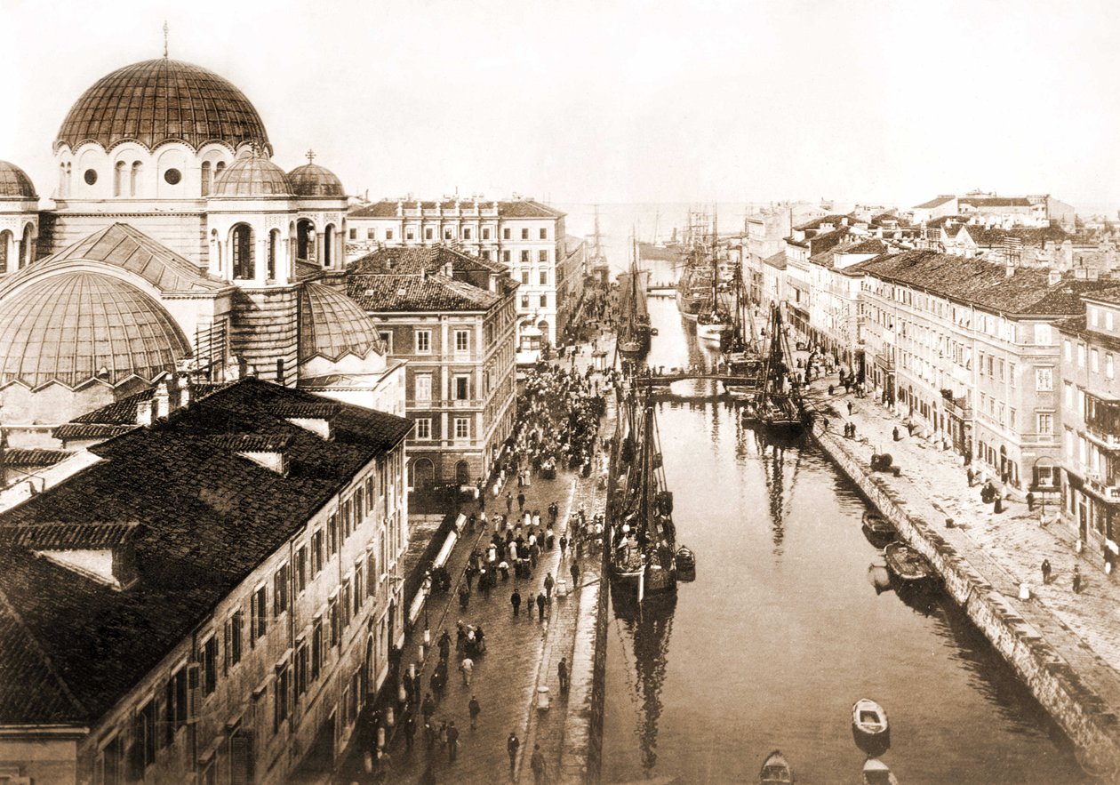 Vista de la ciudad de Trieste a finales del siglo XIX de Unknown photographer