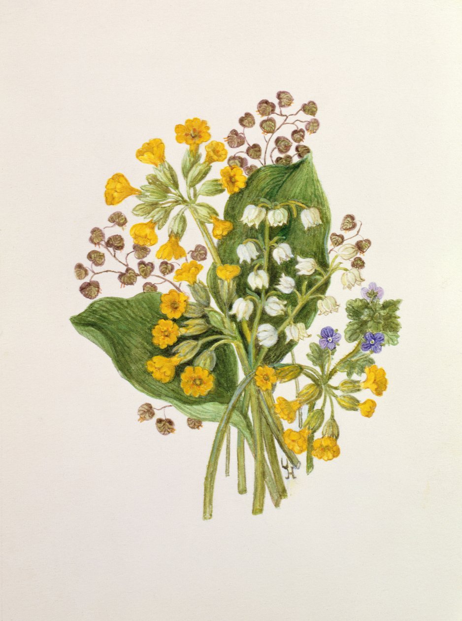 Lirio del Valle y Primaveras de Ursula Hodgson