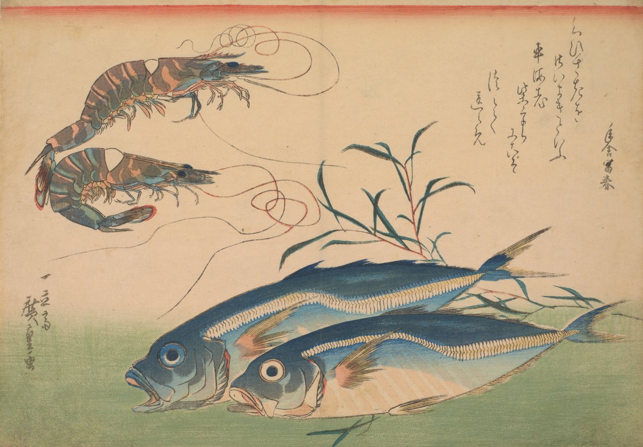 Jurel (Aji) con camarón, con inscripción de Utagawa Hiroshige