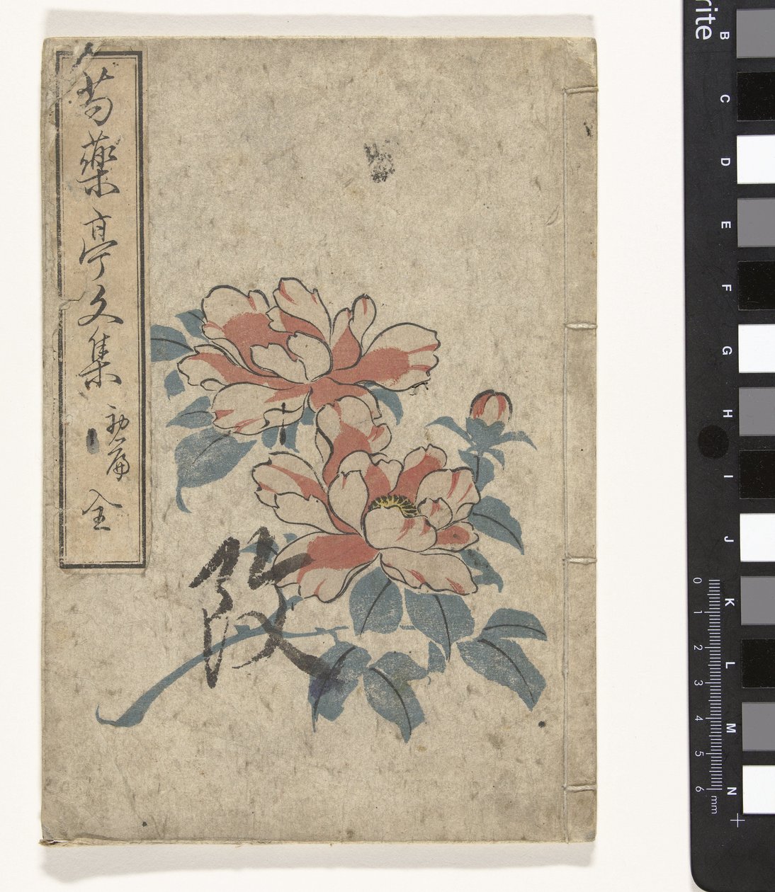 Antología de peonías Shukuyakutei bunshu (título sobre el objeto) de Utagawa (school of)