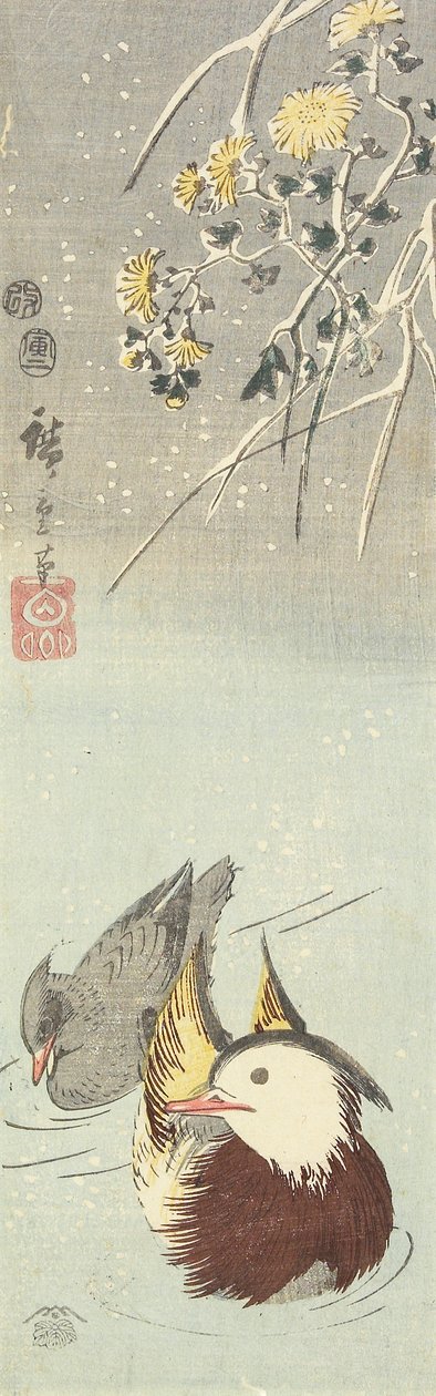 (Crisantemo y patos mandarines), febrero de 1854 de Utagawa Hiroshige