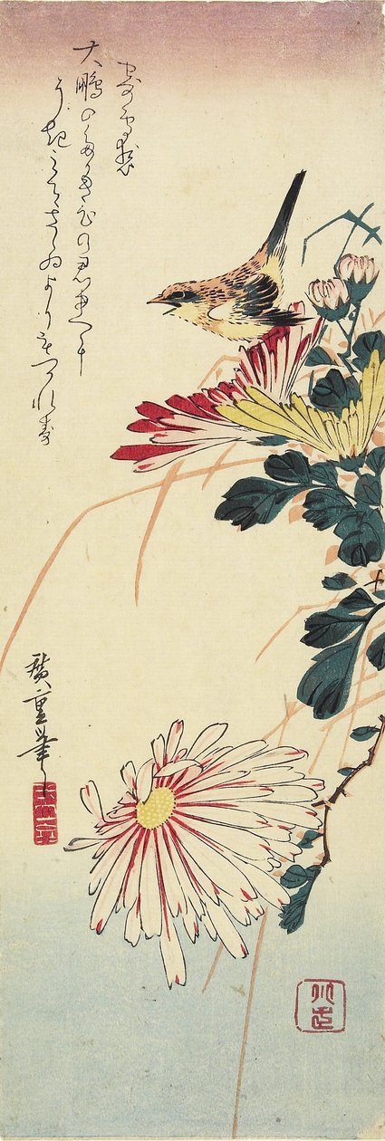 (detalle) Crisantemos y un alcaudón, 1830-1858 de Utagawa Hiroshige